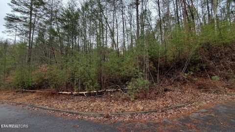 Lot 16 Peace Lane, Sevierville, TN 37876