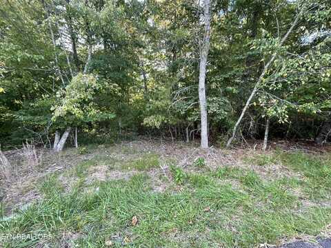 Minetta Drive, Crossville, TN 38558