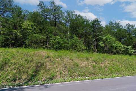 Lot 12 Windfall Estates Drive, Sevierville, TN 37876