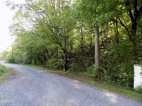 Par 023.04 Driftwood Rd, Cosby, TN 37722