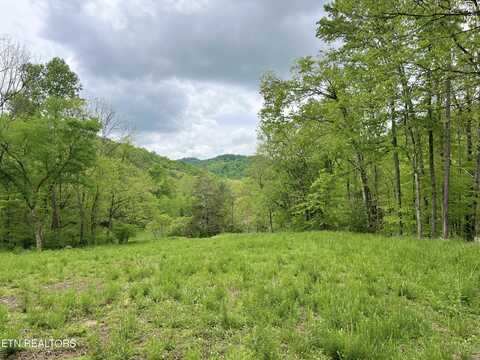 123 Ingle Lane, Tazewell, TN 37879