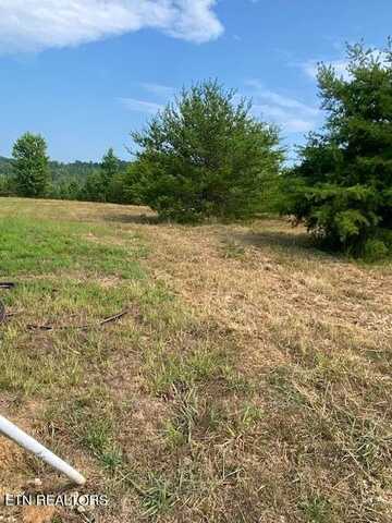 Scenic View Lane, Rockwood, TN 37854