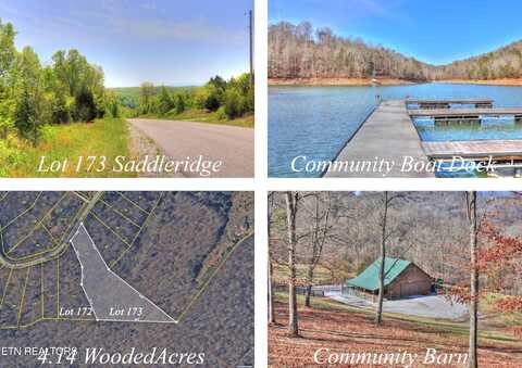 Lot 173 Saddleridge Drive, Speedwell, TN 37870