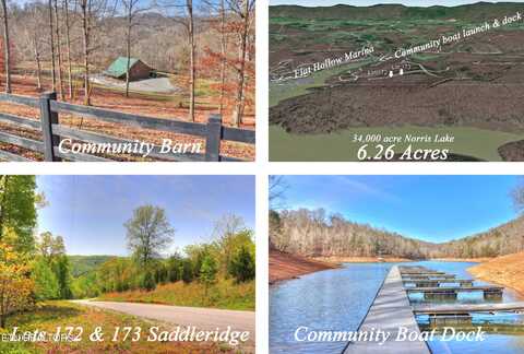 Lot172&173 Saddleridge Drive, Speedwell, TN 37870