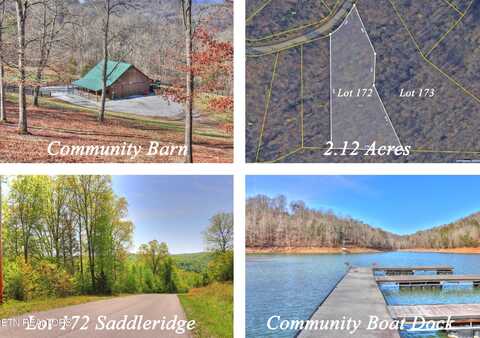 Lot 172 Saddleridge Drive, Speedwell, TN 37870