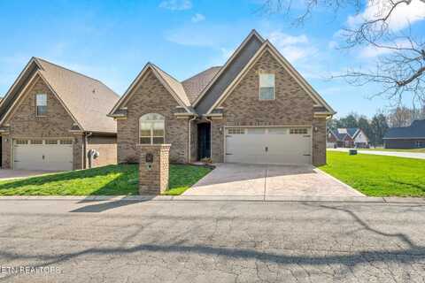 207 Zion Cv Lane, Englewood, TN 37329