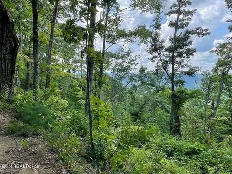 Buffalo Rd/Stanley Creek, Huntsville, TN 37756