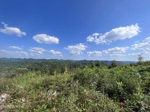 Tower Rd, Tazewell, TN 37879