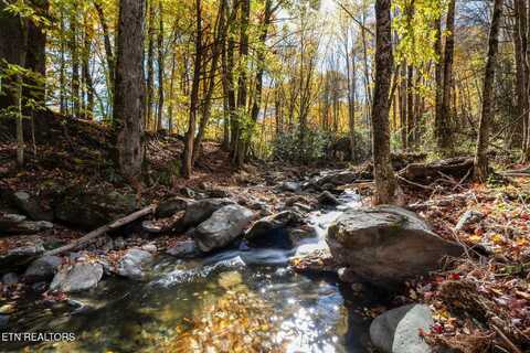 140 Doe Lane, Roan Mountain, TN 37687