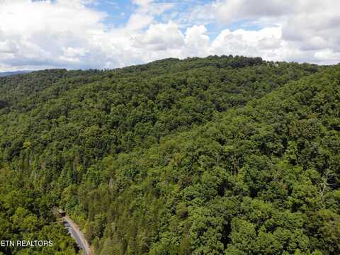 71.40 Ac. Bunch Hollow Rd, New Tazewell, TN 37825