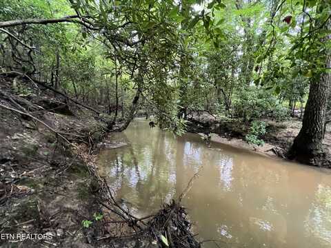 4.6 Ac. Coal Rd, Jamestown, TN 38556