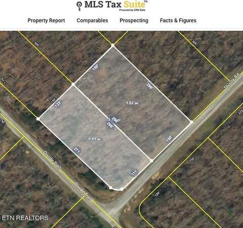 Thistle Rd. Lot 2 & 3, Monterey, TN 38574