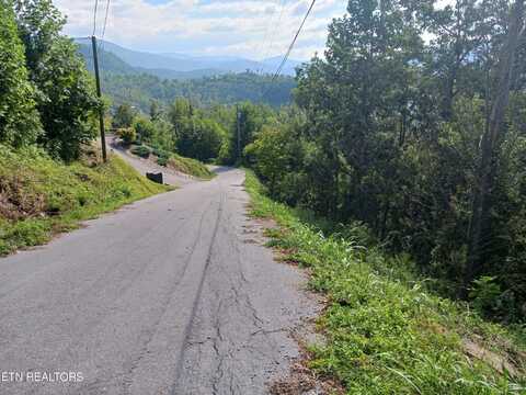 Tower Rd, Gatlinburg, TN 37738