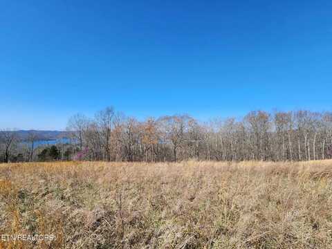 Lot 46b Bald Eagle Lane, Hilham, TN 38568