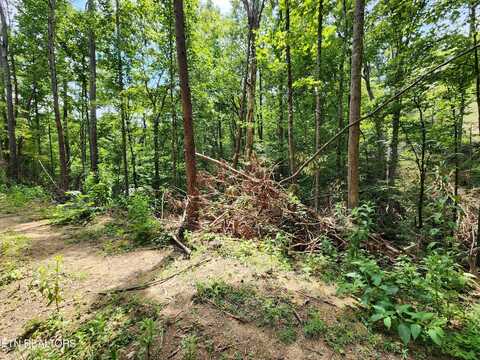 Lot 31 Birch Dr, Sevierville, TN 37876