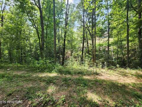 Lot 30 Birch Dr, Sevierville, TN 37876