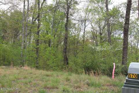 Lot 570 S Two Rivers Lane, La Follette, TN 37766