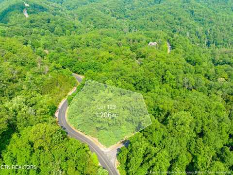 Long Rifle Rd, Walland, TN 37886