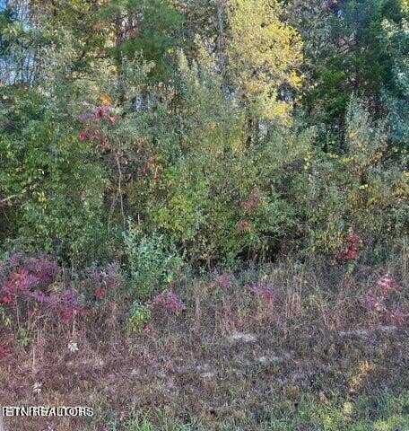 11424 E Watkins Rd, Loudon, TN 37774