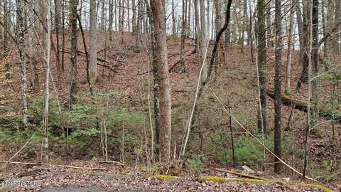 Lot 12 Peace Lane, Sevierville, TN 37876