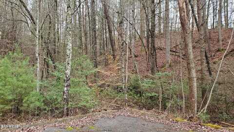 Lot 13 Peace Lane, Sevierville, TN 37876