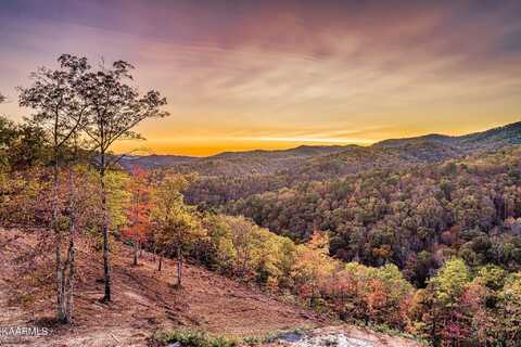 Lot 172 Smoky Bluff Tr, Sevierville, TN 37862