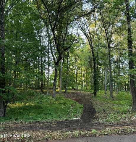 Lot 70 Ashwood Dr. Drive, Jefferson City, TN 37760