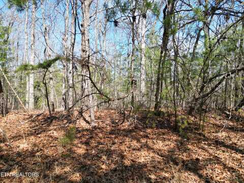 135 Tavistock Lane, Crossville, TN 38558