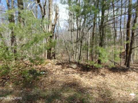 244 Retreat Drive, Crossville, TN 38572