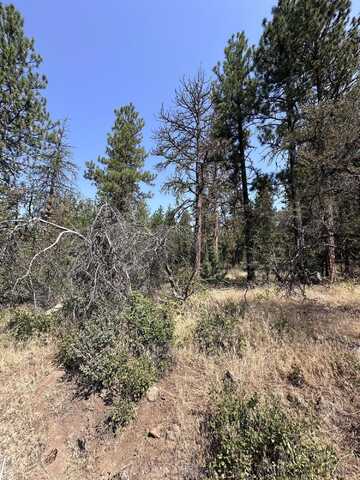 Lot 35 Badger Lane, Bonanza, OR 97623