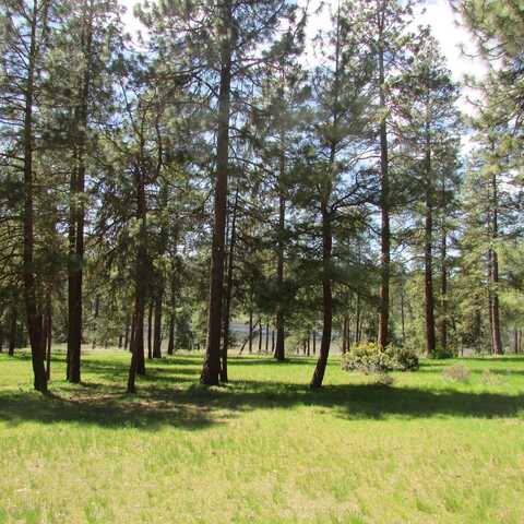 Merganser Rd. Lot 80, Klamath Falls, OR 97601