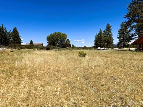 Meadow View Drive, Chiloquin, OR 97624