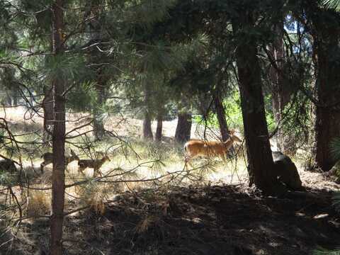 930 Wild Plum Drive, Klamath Falls, OR 97601