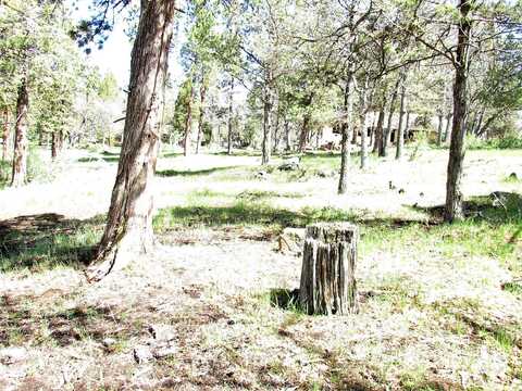 Lot 259 Coopers Hawk Road, Klamath Falls, OR 97601