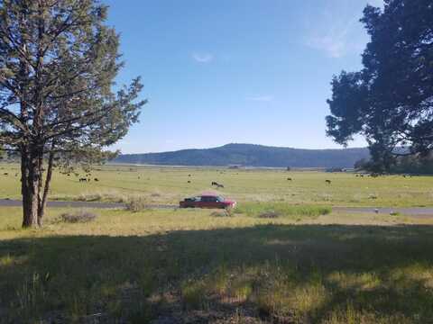 Parula Lot 1164, Klamath Falls, OR 97601