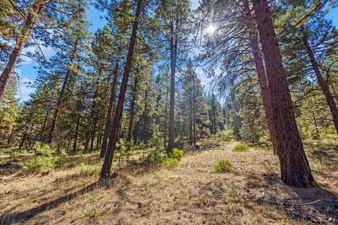 Simpson Canyon Road, Klamath Falls, OR 97601