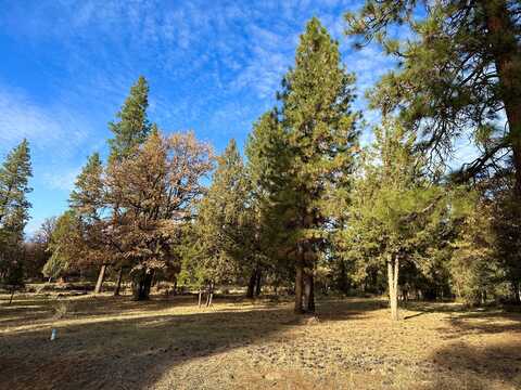 Merganser Road, Klamath Falls, OR 97601