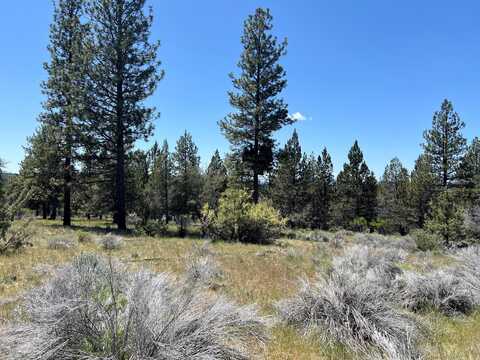 Lot 8 Widgeon Drive, Bonanza, OR 97623