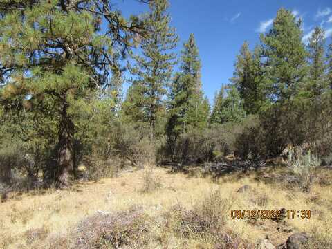 Lot 2 Tiger Lane, Bonanza, OR 97623