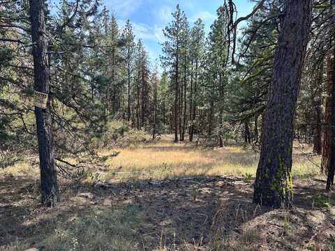 Lot 8 Seal Lane, Bonanza, OR 97623