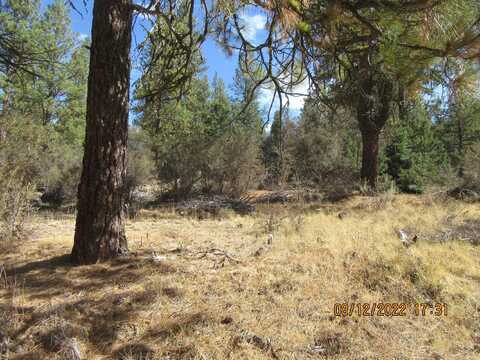 Lot 12W2 Brown Bear Lane, Bonanza, OR 97623