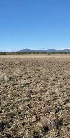 20 Acres Off of Oregon Pines Road, Sprague River, OR 97639