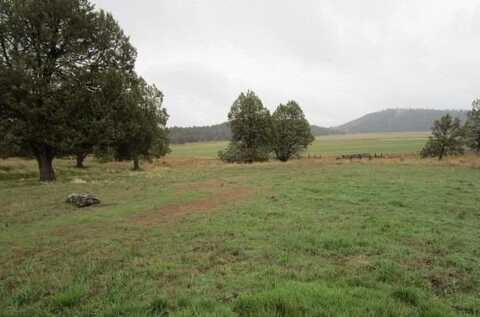 Lot 1129 Murrelet Road, Klamath Falls, OR 97601