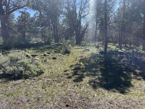 Lot 507 Dowitcher Road, Klamath Falls, OR 97601