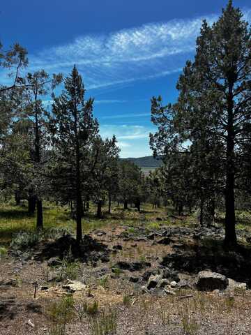 Lot 802 Coopers Hawk Road, Klamath Falls, OR 97601