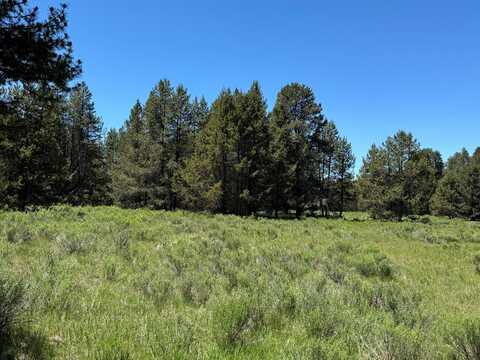 NFD 440 Road, Chiloquin, OR 97624