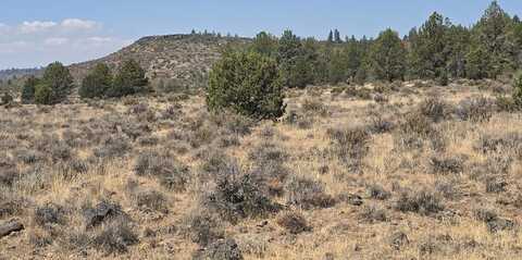 Allynpine Road, Sprague River, OR 97639