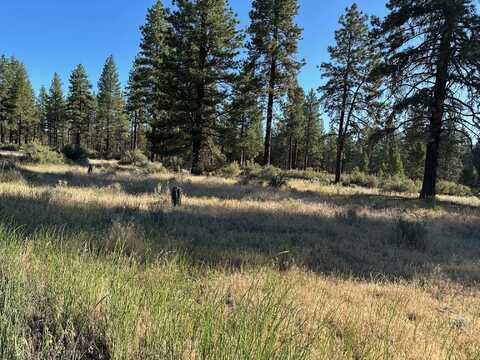 Lot 2900 Teal Drive, Bonanza, OR 97623