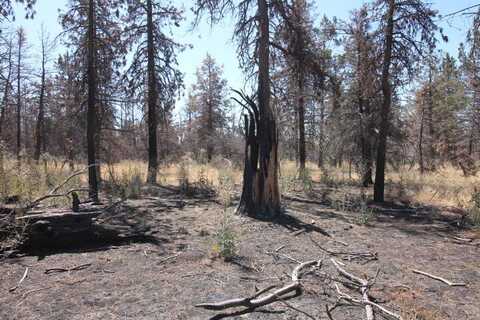 NKA Cuscus Lane, Bonanza, OR 97623