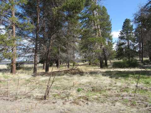 Longhorn Loop, Chiloquin, OR 97624